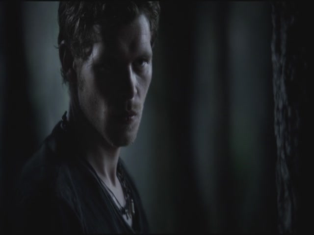 VampireDiariesWorld-dot-org-TVD_3x02TheHybrid4176.jpg