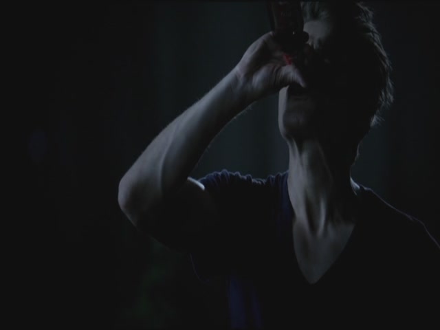 VampireDiariesWorld-dot-org-TVD_3x02TheHybrid4192.jpg