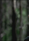 VampireDiariesWorld-dot-org-TVD_3x02TheHybrid2801.jpg