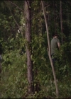 VampireDiariesWorld-dot-org-TVD_3x02TheHybrid3558.jpg