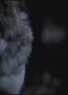 VampireDiariesWorld-dot-org-TVD_3x02TheHybrid3605.jpg