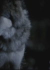 VampireDiariesWorld-dot-org-TVD_3x02TheHybrid3611.jpg