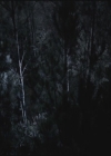 VampireDiariesWorld-dot-org-TVD_3x02TheHybrid3685.jpg