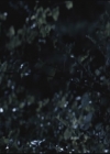 VampireDiariesWorld-dot-org-TVD_3x02TheHybrid3867.jpg