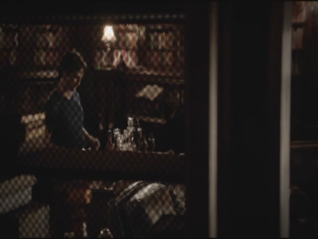 VampireDiariesWorld-dot-org-TVD_3x03TheEndOfTheAffair0002.jpg