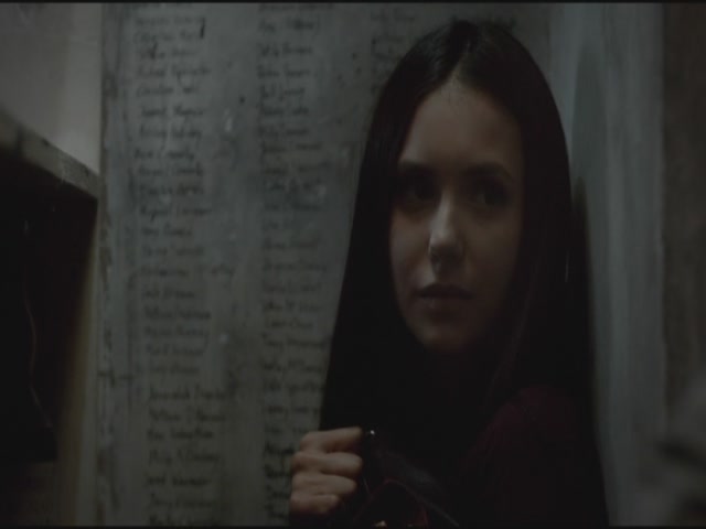 VampireDiariesWorld-dot-org-TVD_3x03TheEndOfTheAffair1196.jpg