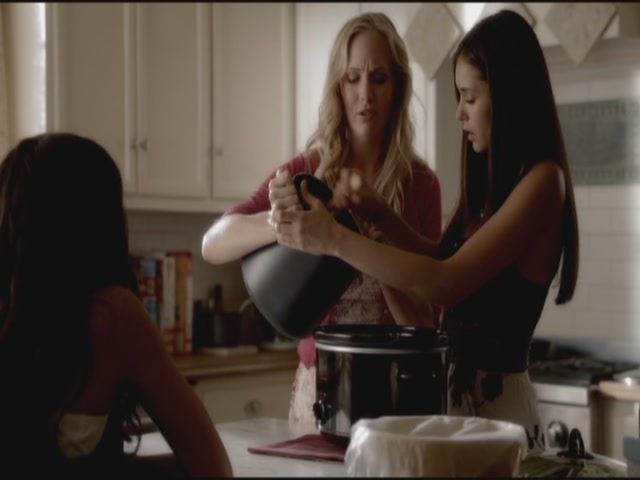 VampireDiariesWorld-dot-org-TVD_3x04DisturbingBehavior0449.jpg