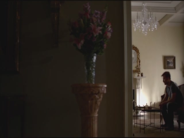 VampireDiariesWorld-dot-org-TVD_3x04DisturbingBehavior2012.jpg