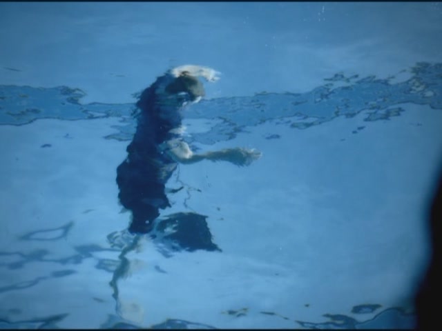 VampireDiariesWorld-dot-org-TVD_3x05TheReckoning1257.jpg VampireDiariesWorld-dot-org-TVD_3x05TheReckoning1257.jpg