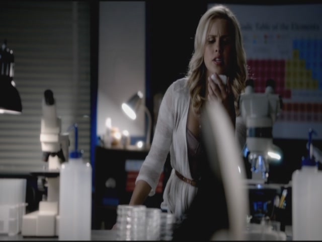 VampireDiariesWorld-dot-org-TVD_3x05TheReckoning1500.jpg