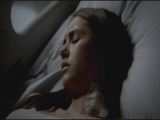 VampireDiariesWorld-dot-org-TVD_3x05TheReckoning1767.jpg