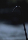 VampireDiariesWorld-dot-org-TVD_3x05TheReckoning0643.jpg