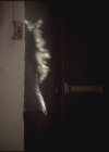 VampireDiariesWorld-dot-org-TVD_3x05TheReckoning1567.jpg