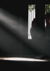 Filename=VampireDiariesWorld-dot-org-TVD_3x05TheReckoning2255.jpg
Filesize=17KiB
Dimensions=640x480
Date added=Sep 10, 2012 VampireDiariesWorld-dot-org-TVD_3x05TheReckoning2255.jpg
