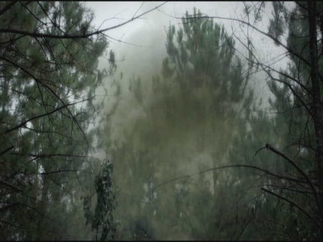 VampireDiariesWorld-dot-org-S3TVD_3x06SmellsLikeTeenSpirit0082.jpg