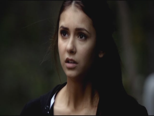 VampireDiariesWorld-dot-org-S3TVD_3x06SmellsLikeTeenSpirit0097.jpg