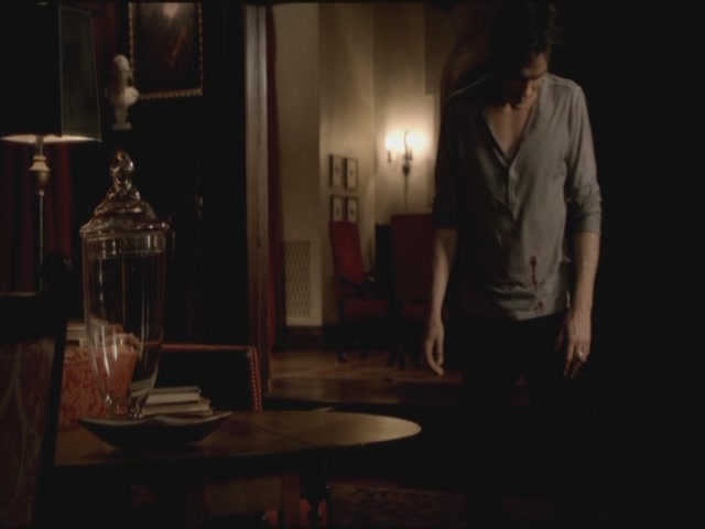 VampireDiariesWorld-dot-org-S3TVD_3x06SmellsLikeTeenSpirit2238.jpg