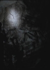 Filename=VampireDiariesWorld-dot-org-S3TVD_3x07GhostWorld2269.jpg
Filesize=21KiB
Dimensions=640x480
Date added=Sep 11, 2012 VampireDiariesWorld-dot-org-S3TVD_3x07GhostWorld2269.jpg