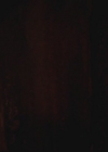 VampireDiariesWorld-dot-org-S3TVD_3x08OrdinaryPeople1125.jpg