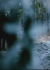 VampireDiariesWorld-dot-org-S3TVD_3x08OrdinaryPeople1590.jpg