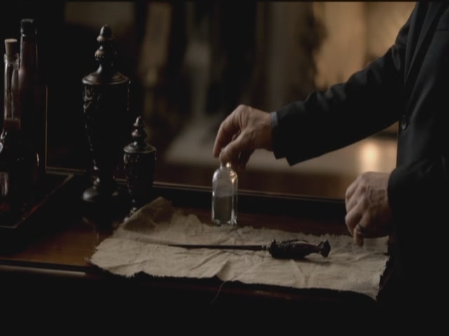 VampireDiariesWorld-dot-org-S3TVD_3x09Homecoming0095.jpg
