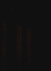 VampireDiariesWorld-dot-org-S3TVD_3x09Homecoming0204.jpg