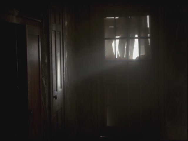 VampireDiariesWorld-dot-org-S3TVD_3x10TheNewDeal0039.jpg
