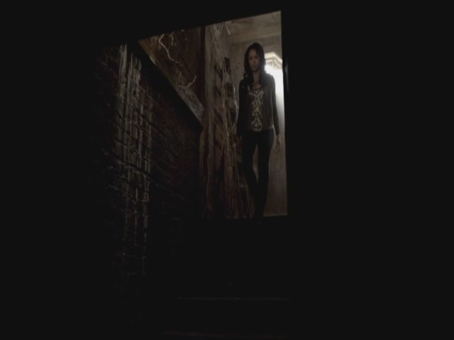 VampireDiariesWorld-dot-org-S3TVD_3x10TheNewDeal0049.jpg