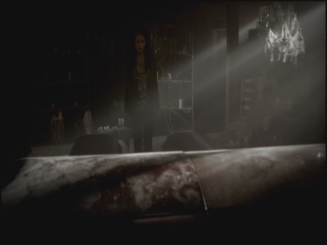 VampireDiariesWorld-dot-org-S3TVD_3x10TheNewDeal0070.jpg