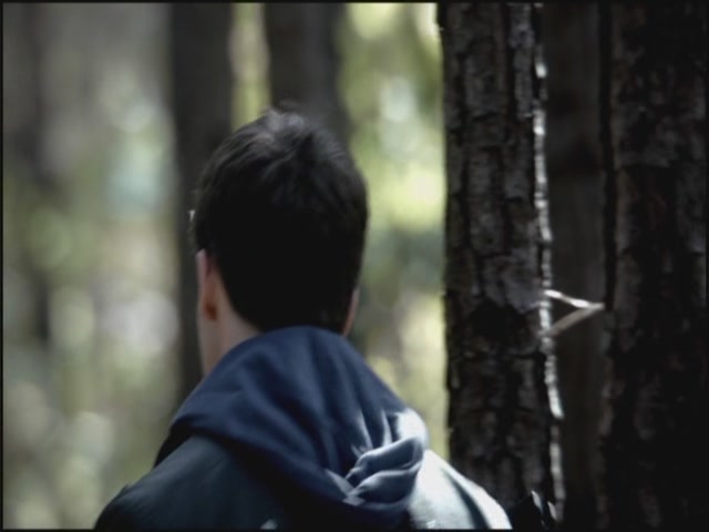 VampireDiariesWorld-dot-org-S3TVD_3x10TheNewDeal1393.jpg VampireDiariesWorld-dot-org-S3TVD_3x10TheNewDeal1393.jpg