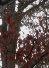 VampireDiariesWorld-dot-org-S3TVD_3x10TheNewDeal0101.jpg