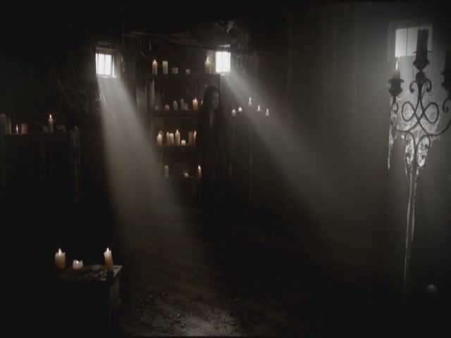 VampireDiariesWorld-dot-org-S3TVD_3x11OurTown0110.jpg