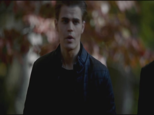 VampireDiariesWorld-dot-org-S3TVD_3x11OurTown0142.jpg