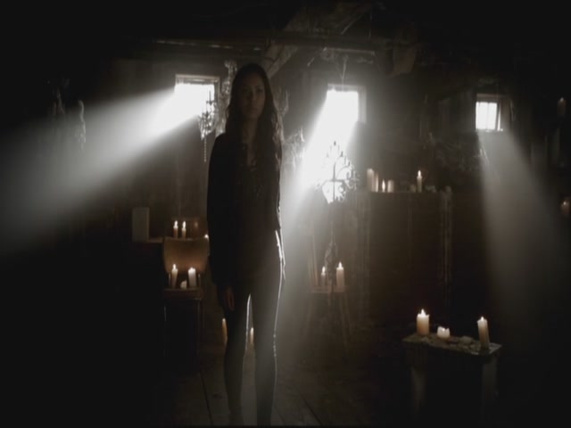 VampireDiariesWorld-dot-org-S3TVD_3x11OurTown0151.jpg
