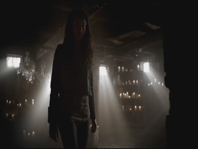 VampireDiariesWorld-dot-org-S3TVD_3x11OurTown0156.jpg