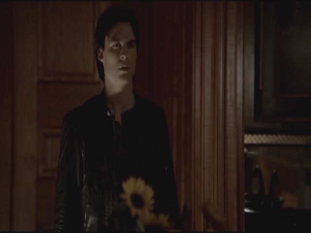 VampireDiariesWorld-dot-org-S3TVD_3x11OurTown1546.jpg