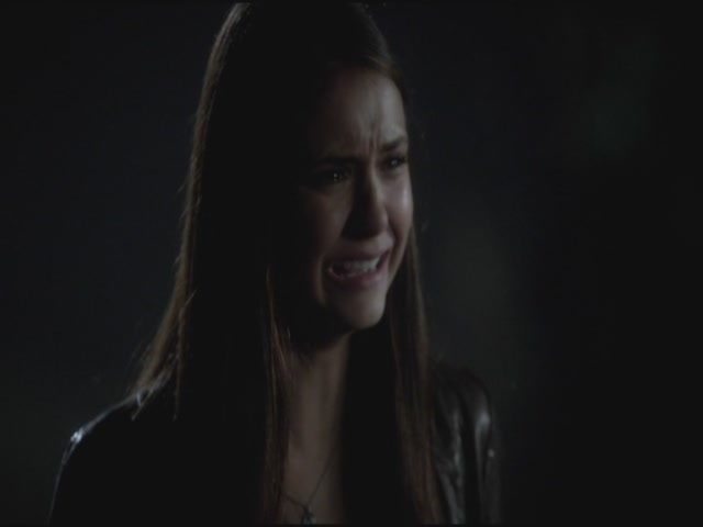 VampireDiariesWorld-dot-org-S3TVD_3x11OurTown1690.jpg