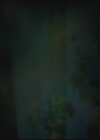 VampireDiariesWorld-dot-org-S3TVD_3x11OurTown1461.jpg
