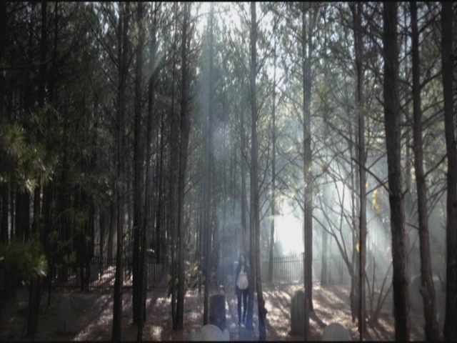 VampireDiariesWorld-dot-org-S3TVD_3x12TheTiesThatBind0004.jpg