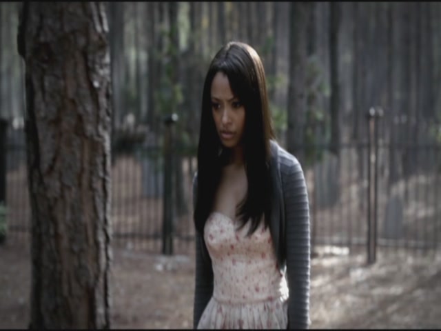 VampireDiariesWorld-dot-org-S3TVD_3x12TheTiesThatBind0005.jpg