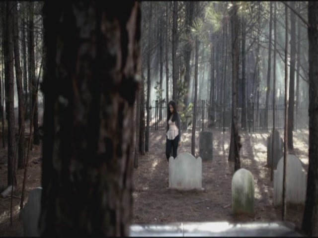 VampireDiariesWorld-dot-org-S3TVD_3x12TheTiesThatBind0015.jpg
