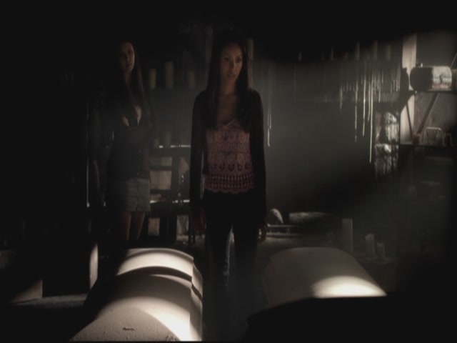 VampireDiariesWorld-dot-org-S3TVD_3x12TheTiesThatBind0100.jpg