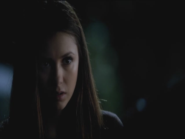 VampireDiariesWorld-dot-org-S3TVD_3x12TheTiesThatBind1949.jpg