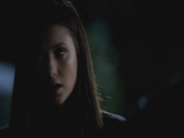 VampireDiariesWorld-dot-org-S3TVD_3x12TheTiesThatBind1951.jpg
