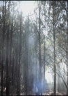 VampireDiariesWorld-dot-org-S3TVD_3x12TheTiesThatBind0003.jpg