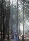 VampireDiariesWorld-dot-org-S3TVD_3x12TheTiesThatBind0004.jpg