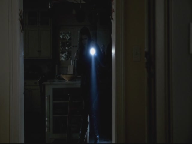 VampireDiariesWorld-dot-org-S3TVD_3x13BringingOutTheDead1521.jpg
