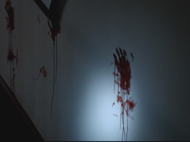 VampireDiariesWorld-dot-org-S3TVD_3x13BringingOutTheDead1529.jpg