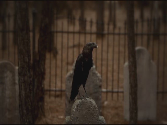 VampireDiariesWorld-dot-org-S3TVD_3x16-1912-0402.jpg