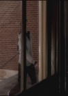 VampireDiariesWorld-dot-org-S3TVD_3x16-1912-0207.jpg